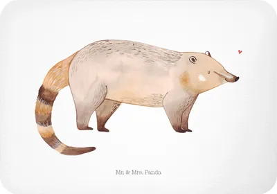 Produktbild von Mr. & Mrs. Panda magnet Nasenbär - Weiß - Geschenk, whiteboardmagnet, Nasenbären, Rüsselbär, wandmagnet, Bär, Kühlschrankmagnet, zettelhalter, Lustige Sprüche, haftmagnet
