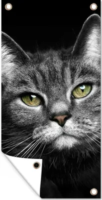 Produktbild von MuchoWow® 40x80 cm Outdoor-Poster Gartendeko Sichtschutz Garten Poster für den Garten  Haustiere - Katze - Tiere - Schwarz - Weiß