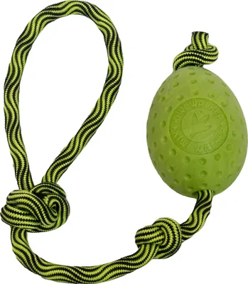 Obrázek produktu pro Hračka pes EGG MAXI plov. z TPR zelená Kiwi