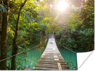 Produktbild von MuchoWow® Poster Dschungel - Wasser - Brücke - Natur - Pflanzen 120x90 cm - Wandbild