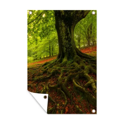 Obrázek produktu pro MuchoWow® Zahradní plakáty - Strom - Les - Podzimní listí - 60x40 cm - Zahradní dekorace