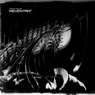 Image de Re-Entry (Réédition)