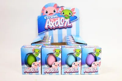 Immagine prodotto di Uovo di rugiada Axolotl 6cm 12/scatola 621806 20178