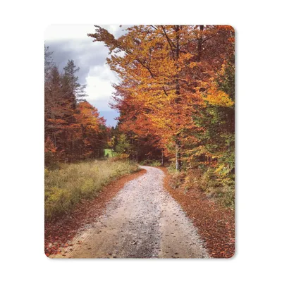 Produktbild von MuchoWow® Mauspad Mousepad Herbst - Herbstblätter - Weg - Wald 30x40 cm - Mousepads - Maus Mat - Pad - Mausunterlage - Mausmatten