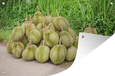 Produktbild von MuchoWow®