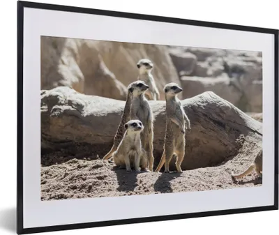Produktbild von MuchoWow® MuchoWow® Gerahmtes Poster Familie - Erdmännchen - Tiere 60x40 cm - Poster mit zchwarzem Bilderrahmen - Schlafzimmer - Plakat in Rahmen - Drucken