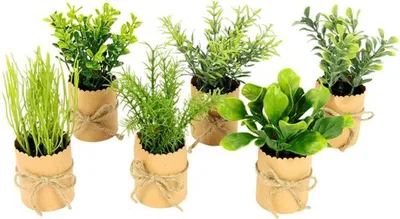 Produktbild von Unyqoos® Set mit 6 künstlichen Kräutern in dekorativen Töpfen, 12 cm, ideal für Küche und Wohnzimmer