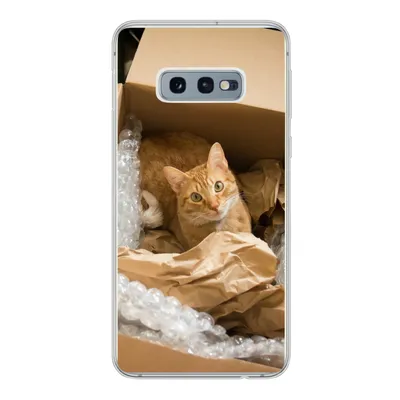 Produktbild von MuchoWow® Handyhülle Schutzhülle Hülle für Samsung Galaxy S10e Katze - Box - Rot Silikon Softcase Handy Hülle - Handy