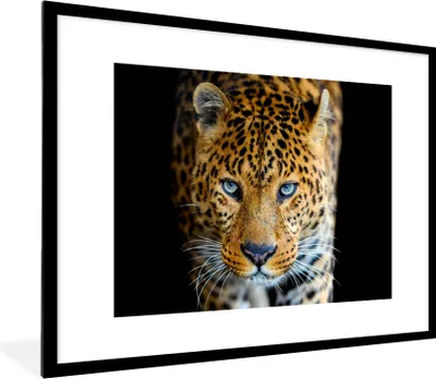 Produktbild von MuchoWow® Gerahmtes Poster Leopard - Tiere - Porträt - Wildtiere - Schwarz 80x60 cm - Poster mit Schwarzem Bilderrahmen Wandposter Rahmen Foto Bilder - Schlafzimmer-Dekorationen - Fotoposter