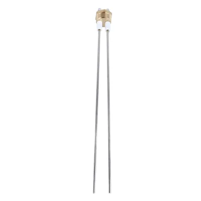 Image de Sonde de niveau d'eau à 2 broches, isolation PTFE, laiton, acier inoxydable, pour les niveaux de liquide dans les chaudières