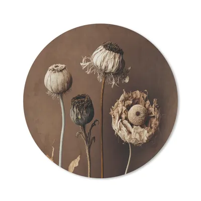 Produktbild von MuchoWow® Mauspad Mousepad Blumen - Pflanzen - Trockenblumen - Braun 20x20 cm - Mousepads - Maus Mat - Pad - Mausunterlage - Schreibtischmatte