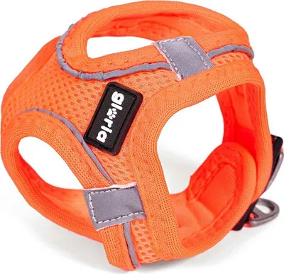 Image de Harnais pour chien Gloria Air Mesh Trek Star Réglable Orange (18-20 cm)