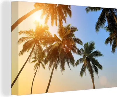 Produktbild von OneMillionCanvasses® - Leinwandbilder - 150x100 cm, Palme - Sonne - Sommer - Tropisch, Wandbilder Kunstdruck Wanddekoration - Foto auf Leinwand - Gemälde auf Holzrahmen