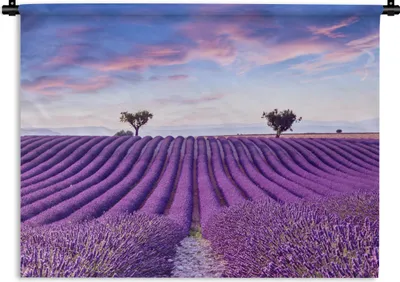 Produktbild von MuchoWow® Wandteppich Wandbehang Lavendel - Natur - Lila - Bäume - Blumen 90x67.5 cm Tapisserie Dekoration Wandtuch - Fototeppich - Wand-Skulpturen