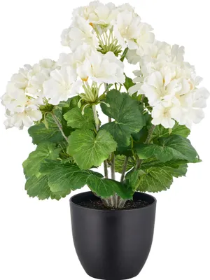 Produktbild von Kunstpflanze Geranienbusch H 36 cm weiss
