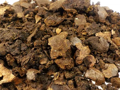 Produktbild von Schwarznussschalen ganz Naturideen® 50g