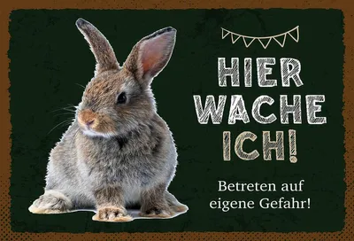 Produktbild von vianmo Holzschild 12x18 cm Kaninchen hier wache eigene Gefahr