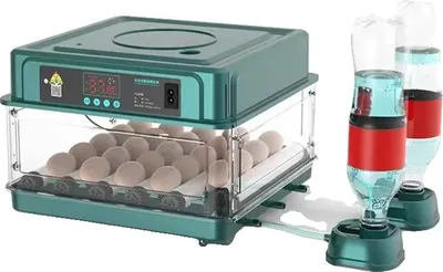 Zdjęcie produktu dla Inkubator do jaj, automatyczna regulacja temperatury, duża pojemność, 24 jaja, wtyczka EU