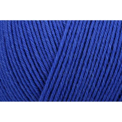 Image de Fil à tricoter Regia Premium Pure 00053 Bluebird