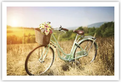 Produktbild von Poster - Poster ohne Rahmen - Fahrrad Wiese Blumen - 91,5x61 cm - Wand Bild - Wanddeko - Wandbilder - Kunstposter - Wandposter - Bilder - Kunstdruck - Wanddekoration - Wandbild - P2XAA91x61-4206