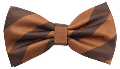Produktbild von Fabio Farini - 1 Stück Herren Fliegen in Rot - Männer Querbinder Vorgebunden Bowtie Streifen - Hellbraun/Dunkelbraun - Chestnut/Shady