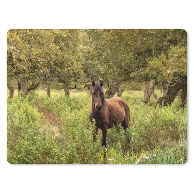 Produktbild von MuchoWow® Mauspad Mousepad Pferd - Wald - Gras 40x30 cm - Mousepads - Maus Mat - Pad - Mausunterlage - Anti Rutsch