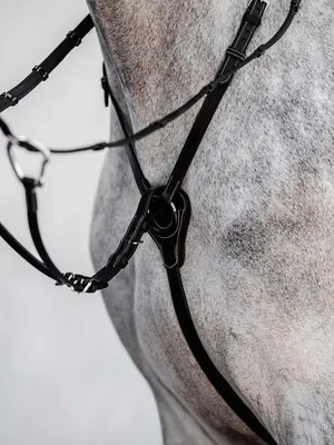 Produktbild von PS of Sweden Martingal Seoul Schwarz Cob