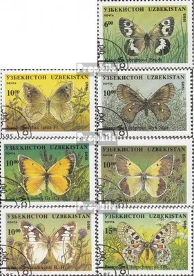 Produktbild von Briefmarken Usbekistan 1995 Mi 85-91 (kompl.Ausg.) gestempelt Schmetterlinge