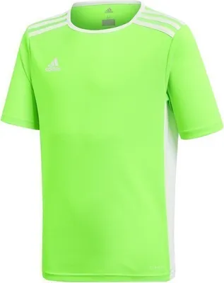 Produktbild von Adidas Tshirts JR Entrada 18, CE9755, Größe: 123