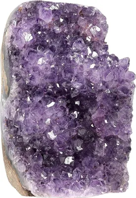 Image de Améthyste naturelle Drusen-Cluster 800-900g pierre de décoration en cristal