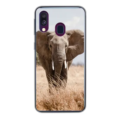 Produktbild von MuchoWow® Handyhülle Schutzhülle Hülle für Samsung Galaxy A40 Elefant - Natur - Tiere - Porträt Silikon Softcase Handy Hülle - Handy-Tasche