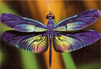 Produktbild von INTERDRUK Puzzle Bunte Natur: 250 dlks