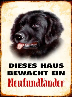 Produktbild von vianmo Holzschild 40x30 cm Hund dieses Haus bewacht Neufundländer
