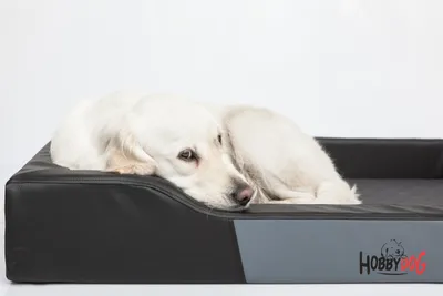 Produktbild von Doggy Hundebett Hundekissen Tierbett Katzenbett Hundekorb Schlafplatz - Deluxe - 75 x 50 x 13 cm [Größe: L] - Schwarz