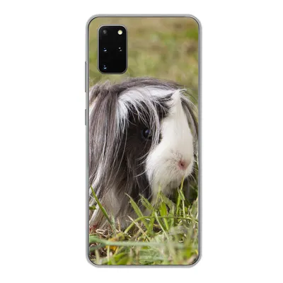 Produktbild von MuchoWow® Handyhülle Schutzhülle Hülle für Samsung Galaxy S20 Plus Langhaar-Meerschweinchen Silikon Softcase Handy Hülle - Hartschale