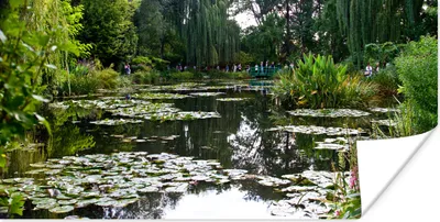 Produktbild von MuchoWow® Poster Die Sonne spiegelt sich auf dem Wasser in Monets französischem Garten in Giverny 80x40 cm - Wanddeko