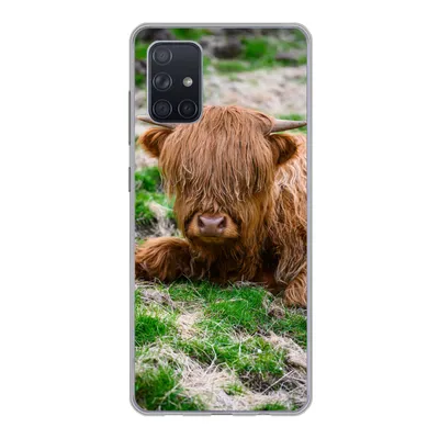 Produktbild von MuchoWow® Handyhülle Schutzhülle Hülle für Samsung Galaxy A51 Schottischer Highlander - Heu - Gras Silikon Softcase Handy Hülle - Schutzabdeckung