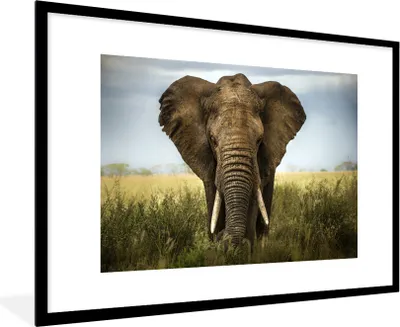 Produktbild von MuchoWow® Gerahmtes Poster Elefant - Natur - Gras - Tiere - Landschaft 90x60 cm - Poster mit Schwarzem Bilderrahmen Wandposter Rahmen Foto Bilder - Wanddekoration - Fotos