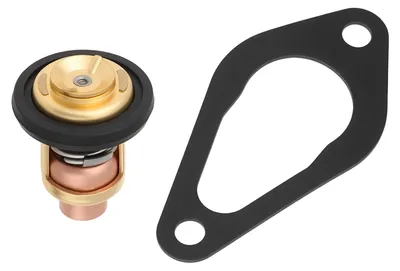 Productafbeelding van Buitenboordmotor Thermostaat Met Pakking 855676002 27-853702005