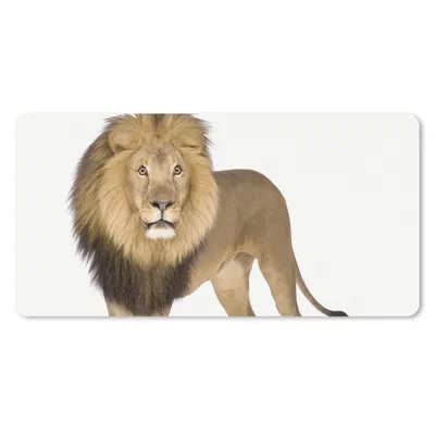 Produktbild von MuchoWow® Schreibtischunterlage Jungen - Löwe - Tiere - Kinder - Mädchen 80x40 cm - XXL Mauspad - Gaming Mauspad