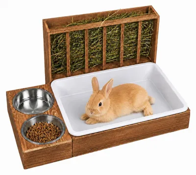 Heufutter für Kaninchen aus Holz, 3-in-1 Futterspender mit Näpfen