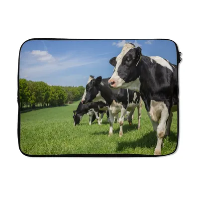 Produktbild von MuchoWow® Laptop Hülle 13 Zoll Kuh - Gras - Wiese Laptoptasche - Laptophülle - Sleeve - Rundumschutz