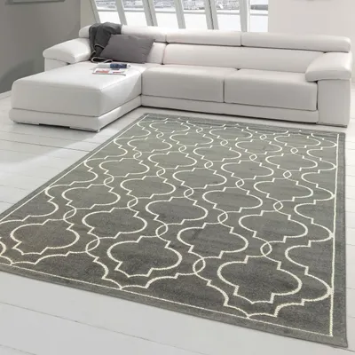 Image de Tapis d'Orient | Intérieur & Extérieur | anthracite Taille - 120x170 cm