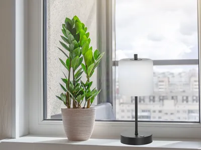 Produktbild von LED Tischleuchte, schwarz, weiß Touchdimmer, Akku, H 34,5 cm