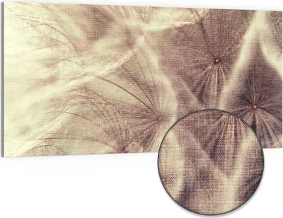 Produktbild von DEQORI Hybrid Leinwand Bild 100x50 cm 'Zarter Samenflug' Wandbild Glas flach modern