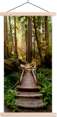 Produktbild von MuchoWow® Textilposter Dschungel - Natur - Treppe - Bäume 60x120 cm mit holzfarbenen Rahmen - Holz