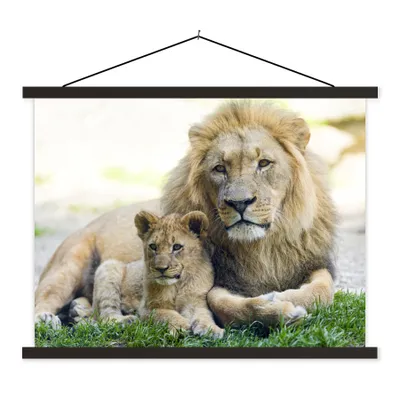Produktbild von MuchoWow® Textilposter Löwe - Jungtier - Porträt 40x30 cm mit schwarzem Rahmen - Dekorationen
