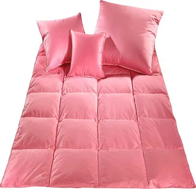 Obrázek produktu pro Přikrývka peří - 140x200 1000g růžová sypka
