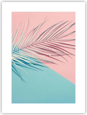 Produktbild von Poster - Poster ohne Rahmen - Blatt Rosa Türkis - 30x40 cm - Wand Bild - Wanddeko - Wandbilder - Kunstposter - Wandposter - Bilder - Kunstdruck - Wanddekoration - Wandbild - P2XPA30x40-4421