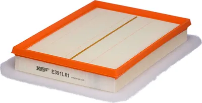 Obrázok produktu pre Hengst Filter Vzduchový Filter E391L01